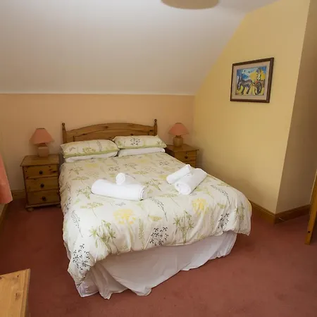 Willow Grove Homes No 4 By Trident Homes Rosslare Harbour